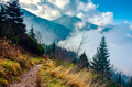 Autumn in Tatras Autumn in Tatras - PhotoDune Item for Sale