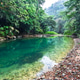 Bladen River and Dense Jungle in Belize Bladen River and Dense Jungle in Belize - PhotoDune Item for Sale