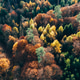 Aerial panoramic autumn forest colorful mixed foliage landscape Europe Aerial panoramic autumn forest colorful mixed foliage landscape Europe - PhotoDune Item for Sale