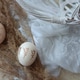Natural beautiful ester eggs Natural beautiful ester eggs - PhotoDune Item for Sale