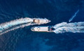 Aerial view of floating ship on blue Adriatic sea at sunny day. Fast ship on the sea surface. Aerial view of floating ship on blue Adriatic sea at sunny day. Fast ship on the sea surface. - PhotoDune Item for Sale
