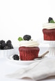 Velvet cupcakes with blackberries Velvet cupcakes with blackberries - PhotoDune Item for Sale