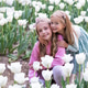 Adorable little caucasian blonde girl smiling in tulip field at spring day. Adorable little caucasian blonde girl smiling in tulip field at spring day. - PhotoDune Item for Sale