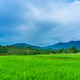 Beautiful morning view indonesia Panorama Landscape paddy fields Beautiful morning view indonesia Panorama Landscape paddy fields - PhotoDune Item for Sale