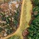 Aerial View of Dying Forest and Deforestation in Autumn Europe Aerial View of Dying Forest and Deforestation in Autumn Europe - PhotoDune Item for Sale