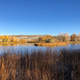 Autumn reflections on a peaceful lake with golden trees in Idaho’s desert landscape Autumn reflections on a peaceful lake with golden trees in Idaho’s desert landscape - PhotoDune Item for Sale