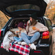 Happy mother with child girl having picnic in car trunk sitting on checkered blanket in woods Happy mother with child girl having picnic in car trunk sitting on checkered blanket in woods - PhotoDune Item for Sale