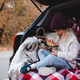Cute child girl 4-5 year old eating biscuits in car trunk sitting on checkered blanket in woods Cute child girl 4-5 year old eating biscuits in car trunk sitting on checkered blanket in woods - PhotoDune Item for Sale