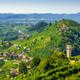 Prosecco Hills Vineyards and Santo Stefano Bell Tower Prosecco Hills Vineyards and Santo Stefano Bell Tower - PhotoDune Item for Sale