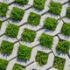 Permeable Grass Pavers Background with Green Eco Pavement Texture, Concrete and green grass natural Permeable Grass Pavers Background with Green Eco Pavement Texture, Concrete and green grass natural - PhotoDune Item for Sale