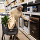 Woman shopping for a new oven in the home appliance department Woman shopping for a new oven in the home appliance department - PhotoDune Item for Sale