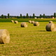 Rural landscape along via Rovereto at Solaro, Milan province, Italy Rural landscape along via Rovereto at Solaro, Milan province, Italy - PhotoDune Item for Sale