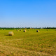 Rural landscape along via Rovereto at Solaro, Milan province, Italy Rural landscape along via Rovereto at Solaro, Milan province, Italy - PhotoDune Item for Sale