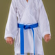 Boy standing in the basic karate stance Heisoku Dachi with aligned feet and upright posture. Highlig Boy standing in the basic karate stance Heisoku Dachi with aligned feet and upright posture. Highlig - PhotoDune Item for Sale