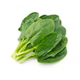 Spinach leaves with drops water Spinach leaves with drops water - PhotoDune Item for Sale