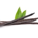 Vanilla stick with mint leaves Vanilla stick with mint leaves - PhotoDune Item for Sale