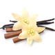 Vanilla flower and vanilla pods with sandalwood Vanilla flower and vanilla pods with sandalwood - PhotoDune Item for Sale