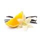 Vanilla pods with oranges fruits slick Vanilla pods with oranges fruits slick - PhotoDune Item for Sale