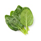 Spinach salad with water drops o Spinach salad with water drops o - PhotoDune Item for Sale