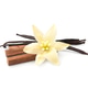 Vanilla flower and vanilla pods with sandalwood Vanilla flower and vanilla pods with sandalwood - PhotoDune Item for Sale