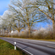 Country road along trees covered with white frost Country road along trees covered with white frost - PhotoDune Item for Sale