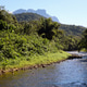 A river flowing through dense Atlantic rainforest, in the Morretes region, Paraná state, Brazil A river flowing through dense Atlantic rainforest, in the Morretes region, Paraná state, Brazil - PhotoDune Item for Sale