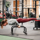 Woman holding advanced calisthenics planche on parallettes in gym Woman holding advanced calisthenics planche on parallettes in gym - PhotoDune Item for Sale