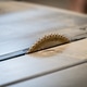 Close-up of Table Saw Blade in Woodworking Workshop Close-up of Table Saw Blade in Woodworking Workshop - PhotoDune Item for Sale