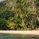 Pristine White Sand Beach and Palm Trees Pristine White Sand Beach and Palm Trees - PhotoDune Item for Sale