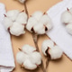 A folded soft white terry towel and natural cotton bolls on a warm beige background symbolize purity A folded soft white terry towel and natural cotton bolls on a warm beige background symbolize purity - PhotoDune Item for Sale