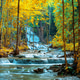 Vertical long exposure view of a gentle stream flowing through a golden autumn forest with green bam Vertical long exposure view of a gentle stream flowing through a golden autumn forest with green bam - PhotoDune Item for Sale