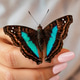 Elegant Macro Nature Photography Elegant Macro Nature Photography - PhotoDune Item for Sale