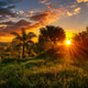 Golden Sunset Over Lush Natural Landscape with Dramatic Sun Rays Golden Sunset Over Lush Natural Landscape with Dramatic Sun Rays - PhotoDune Item for Sale