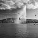 Majestic Jet d'Eau Fountain and Flying Seagulls over Lake Geneva Majestic Jet d'Eau Fountain and Flying Seagulls over Lake Geneva - PhotoDune Item for Sale