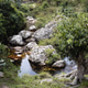 Rocky Stream in Lush Forest Near the Source of the Nile, Burundi Rocky Stream in Lush Forest Near the Source of the Nile, Burundi - PhotoDune Item for Sale