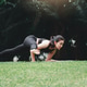 Asian woman practicing yoga on mat in outdoor park. Asian woman practicing yoga on mat in outdoor park. - PhotoDune Item for Sale