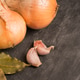 Onions and garlic Onions and garlic - PhotoDune Item for Sale