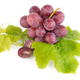 Bunch of red grapes Bunch of red grapes - PhotoDune Item for Sale