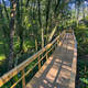 Wooden Boardwalk Path Through a Lush Green Forest Along the Uima River Wooden Boardwalk Path Through a Lush Green Forest Along the Uima River - PhotoDune Item for Sale