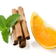 One orange fruit segment One orange fruit segment - PhotoDune Item for Sale