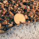 Bitcoin cryptocurrency golden coin on the beach Bitcoin cryptocurrency golden coin on the beach - PhotoDune Item for Sale