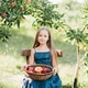 Child Harvesting Apples in Orchard Child Harvesting Apples in Orchard - PhotoDune Item for Sale