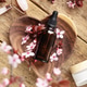 Essential Oil Bottle with Cherry Blossoms on Heart Wooden Plate Essential Oil Bottle with Cherry Blossoms on Heart Wooden Plate - PhotoDune Item for Sale