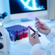 Laboratory Scientist Holding Blood Sample Test Tubes with Microscope and DNA Screen in Medical Lab Laboratory Scientist Holding Blood Sample Test Tubes with Microscope and DNA Screen in Medical Lab - PhotoDune Item for Sale