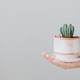 a cactus in a beautiful clay pot on the hand of a European woman. potted plant for home decoration a cactus in a beautiful clay pot on the hand of a European woman. potted plant for home decoration - PhotoDune Item for Sale