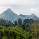 Asturias green rural landscape with mountains and trees Asturias green rural landscape with mountains and trees - PhotoDune Item for Sale