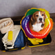 Beagle sitting inside an open suitcase wearing a colorful inflatable swim ring, surrounded by travel Beagle sitting inside an open suitcase wearing a colorful inflatable swim ring, surrounded by travel - PhotoDune Item for Sale