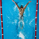 Top view of tattooed male swimmer performing butterfly stroke in pool lane with strong splash Top view of tattooed male swimmer performing butterfly stroke in pool lane with strong splash - PhotoDune Item for Sale