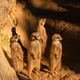 Group of Meerkats Standing Upright in Sunlight on Sandy Ground in Zoo Habitat Group of Meerkats Standing Upright in Sunlight on Sandy Ground in Zoo Habitat - PhotoDune Item for Sale
