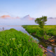 Summer landscape of the Lofoten Islands, Norway. Mist and midnight sun. Summer landscape of the Lofoten Islands, Norway. Mist and midnight sun. - PhotoDune Item for Sale